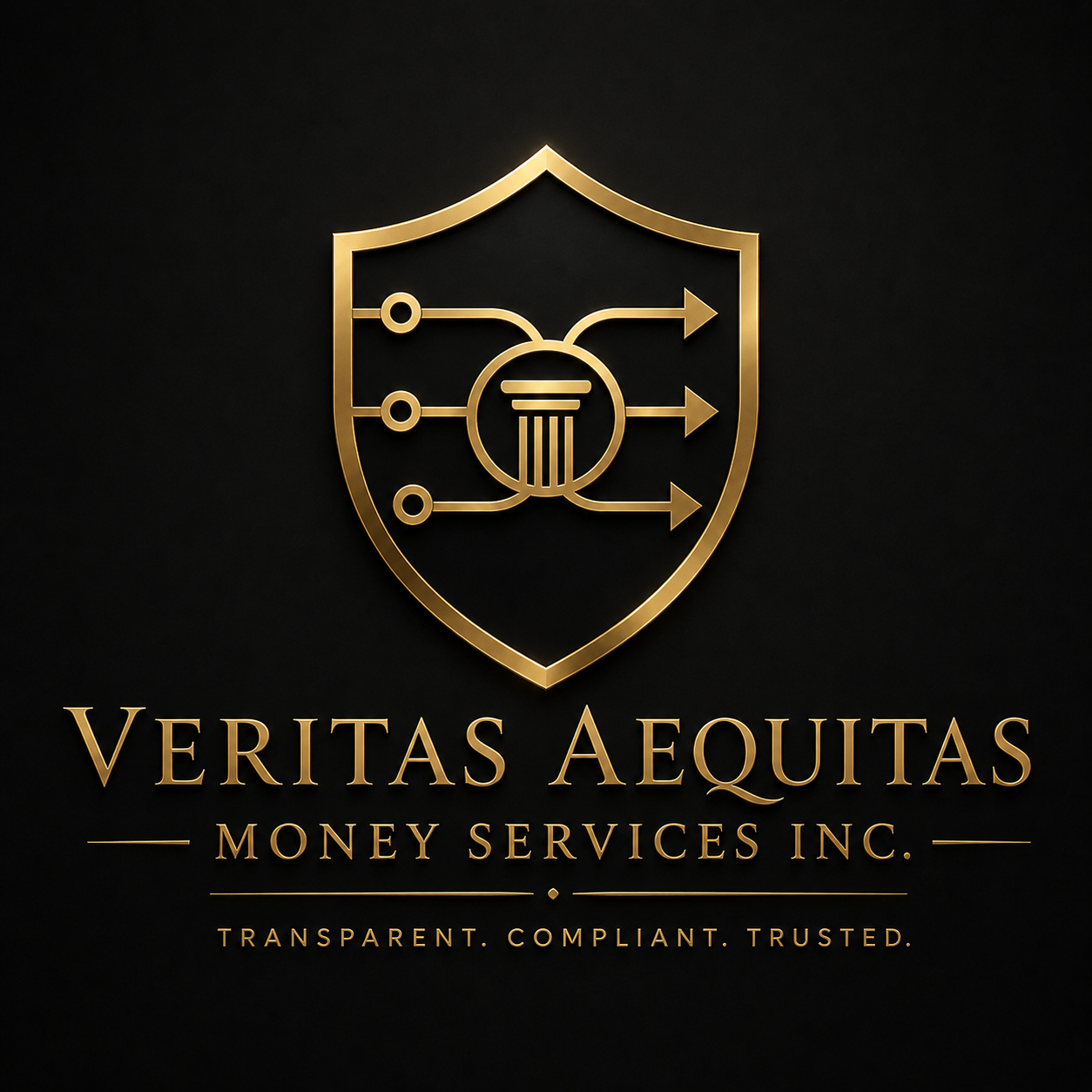 Veritas Aequitas Money Services Inc. logo